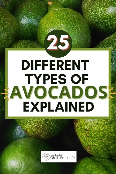 hermes avocado|avocados varieties explained.